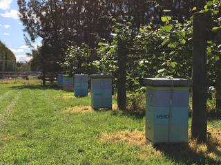 single site, small batch honey