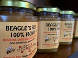 Beagles Bees honey 250g